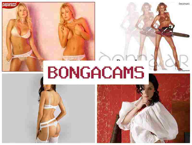 NONGACAMS 💗 Balls Porn & Porn Webcam Gangbang