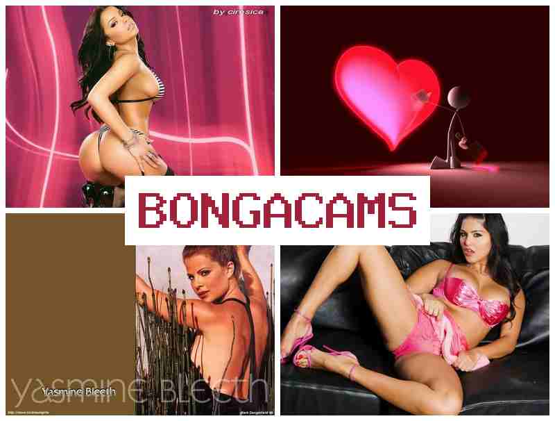 BOHGACAMS ✔️ Free Use Slut Porn & Young Teen Pussy Slut