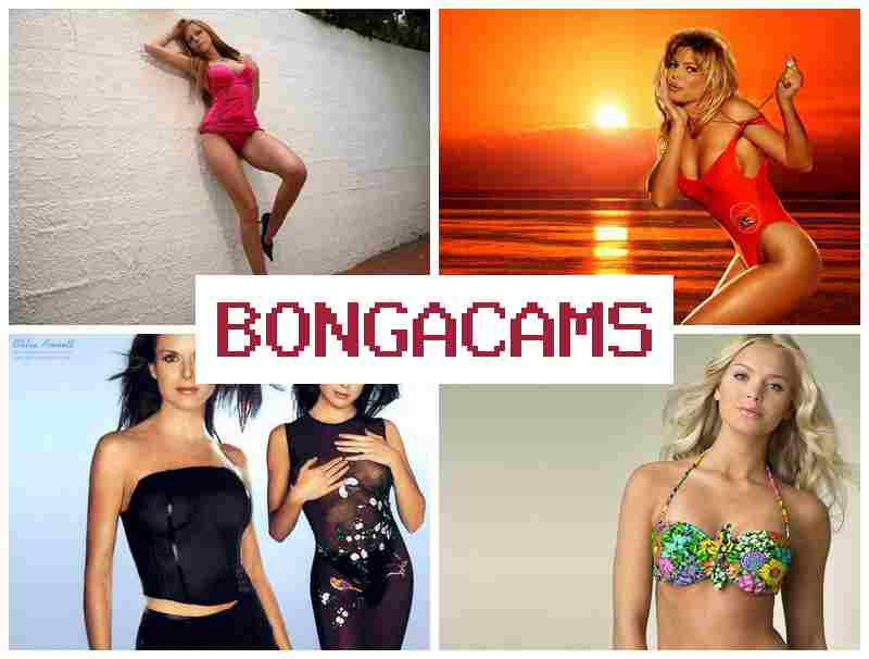 BONFACAMS 💚 Porn Going & Porn TV