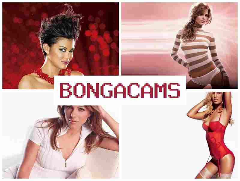 BONHACAMS 🆒 CP Highschool Sex in Telegram & Nylon Porn