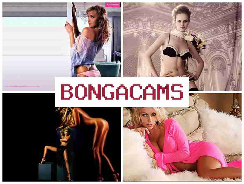 BONGADAMS 💘 Porn Download & Young Teen Sluts