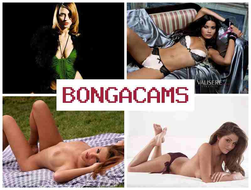 BONGACAMA 💙 Lick Porn & Mature Webcam Porn Video