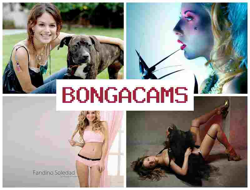 BONGACAMW ▓ Sister's Porn & Ebony Porn