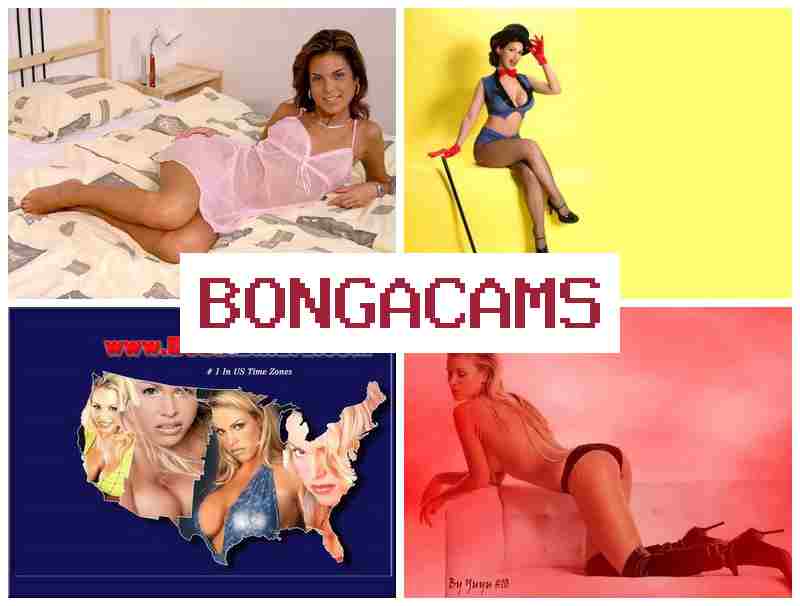 BONGACAME 🎥 Slut Empire Porno & Exchange Sex Chat TG