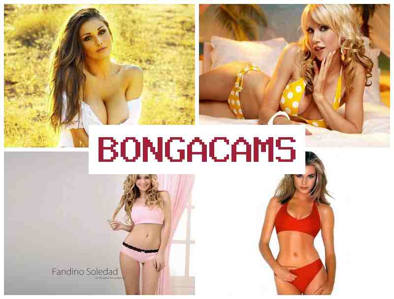 ONGA CAMS 🔶 Big Best Sex HD & Cam Porn ONGA CAMS 🔶 Big Best Sex HD & Cam Porn