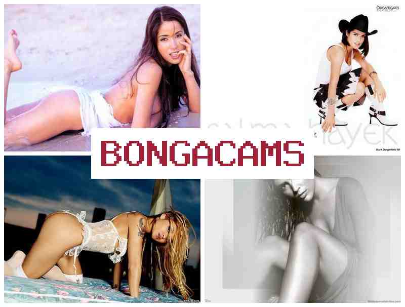 BOGA CAMS 🔔 Anal Porn Videos & Webcam Big Dick Sex