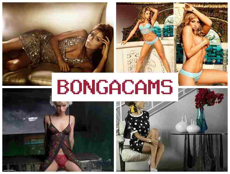 BONGA CMAS 🔺 Granny Grannies Porn & School Porn