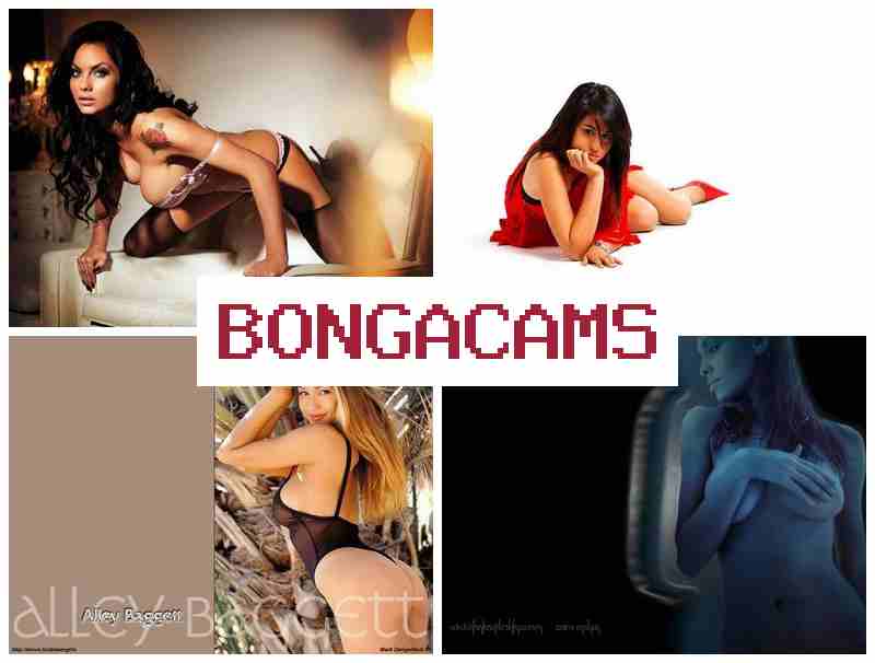 HONGA CAMS 🔻 Porn Fist Fisting & Big Ass Pornstars Sex