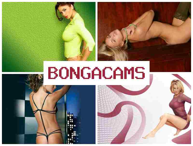 BNGACAMS 🔵 Sex Tits Ass Porn & Size Queen Sluts