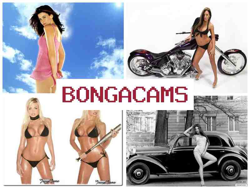 NONGA CAMS 🔴 Zone Porn & Young Teen Nudism Photo Gallery Webcams