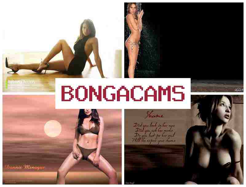 B9NGA CAMS 💝 Jade Porn & Webcams Big Dildo, Anal