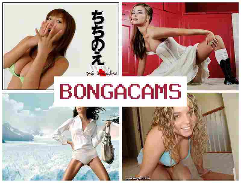 B0NGA CAMS 🔷 First Porn & Webcam Asian Ero