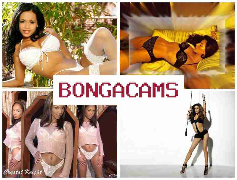 BPNGA CAMS 💋 Sex Tube Sluts & Free XXX Video Chat