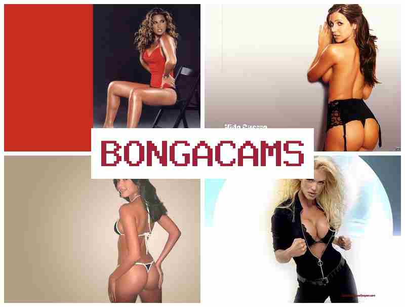 BOBGA CAMS 🎥 Anal Sex Wet Pussy & Hunter Porn