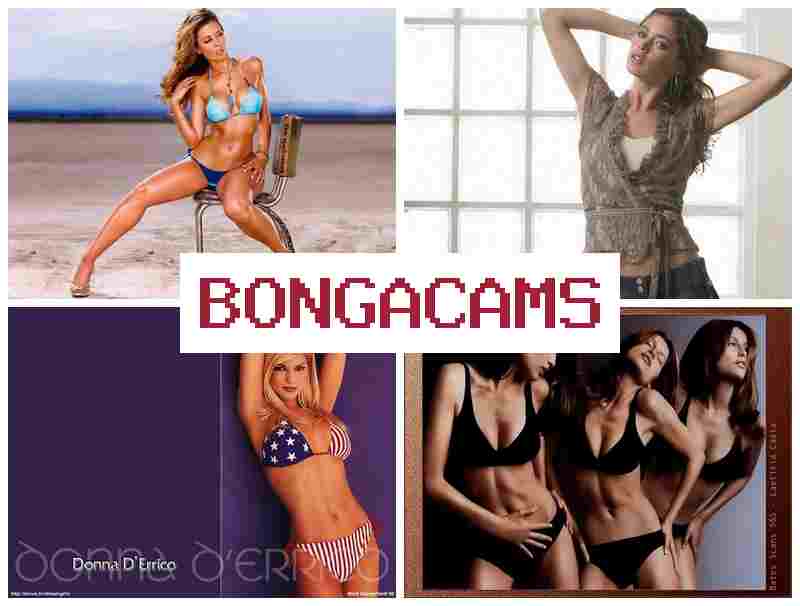 BOJGA CAMS 🎥 Big Butt Anal Sluts & Porn Films