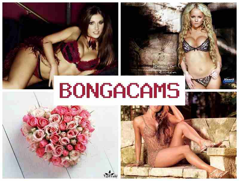 BONBA CAMS 🔶 Hijab Big Tits Sex & Big Mom Hard Sex