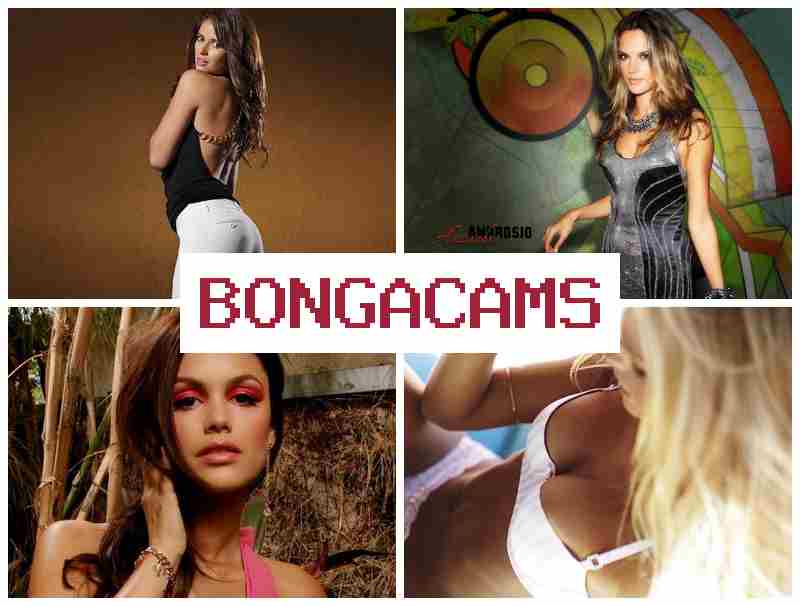BONGS CAMS ▒ Porn Movies & New Sluts