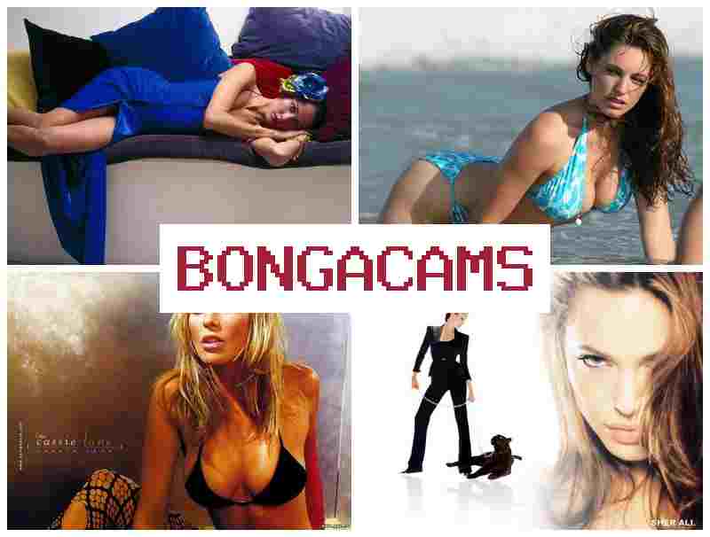 BONGA CQMS 📺 Crossdresser Porn & Brazzers Slut