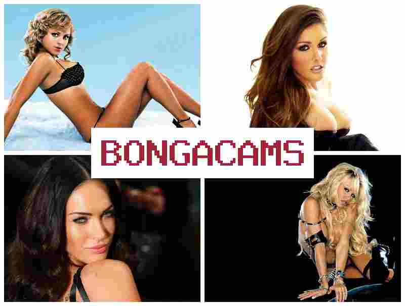BONGA CWMS ▒ Free Sex Cams Girls & Recording Video Sex Chat