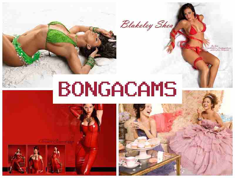 BONGA CAMW 💜 Films Teen Prostitute Sex Video & Webcam 18+ Bonga