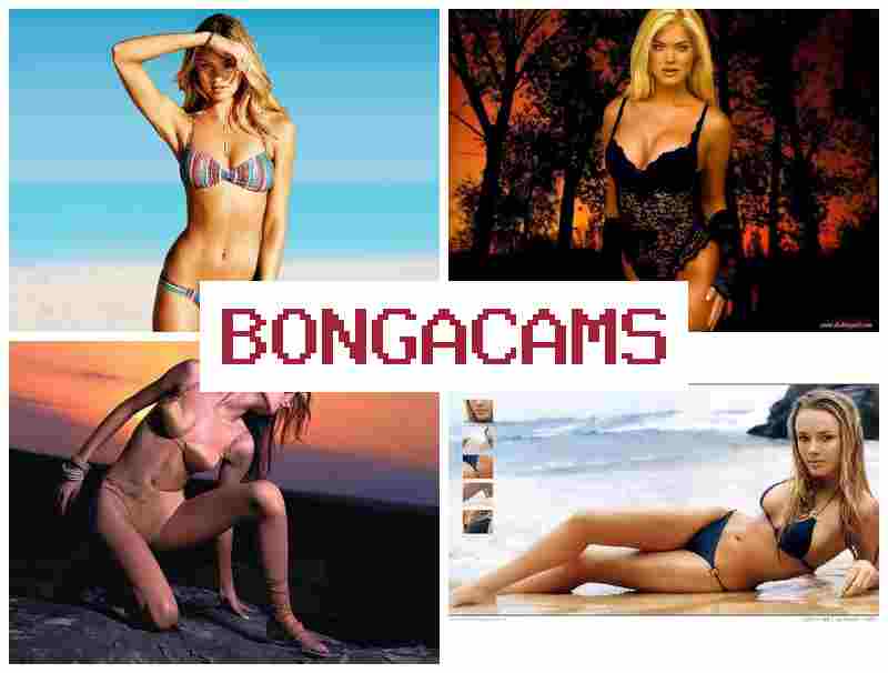 BONGA CAME 🔺 Big Cock Blowjob Slut & Anal Toys Porn Webcams