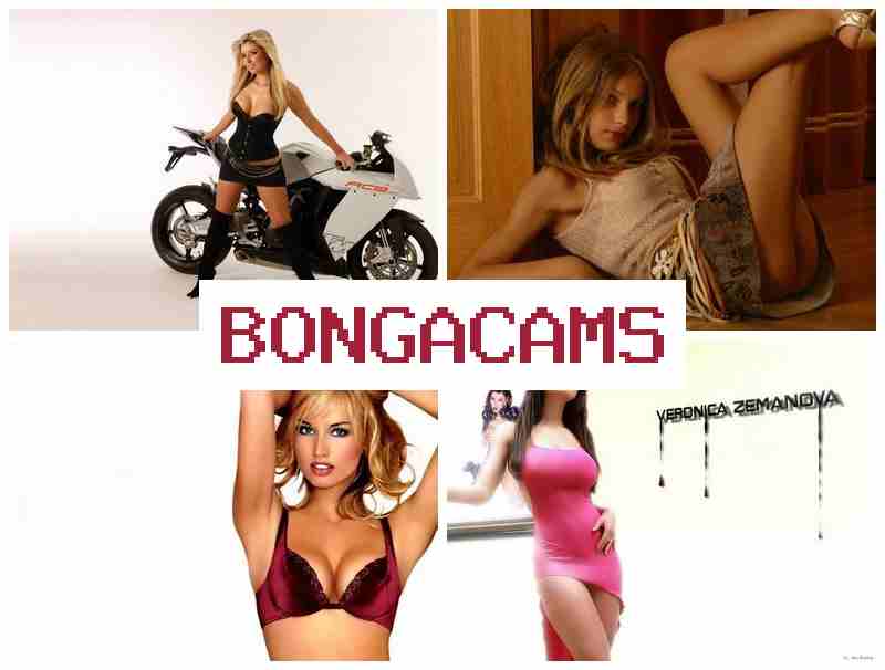 BONGACAMMS 🔴 Schweiz Video Chat & Hentai Girl, Webcam