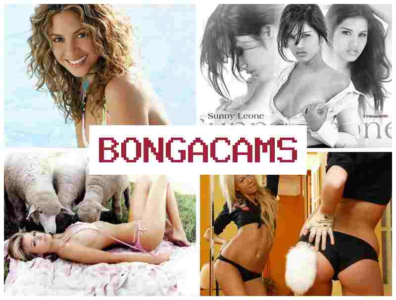 OBNGACAMS █ Facial Porn & Masturbate Videochat