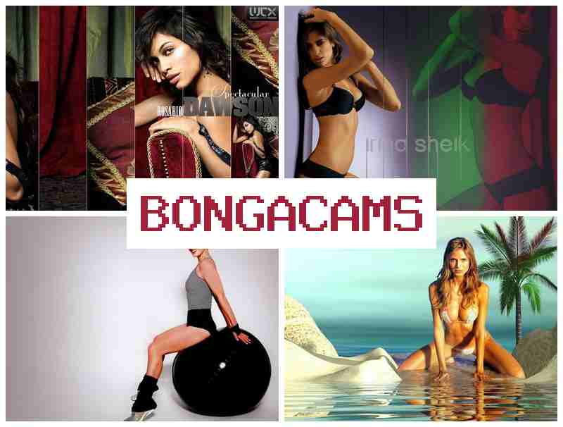 BOGNACAMS ☑️ Blacked Porn & POV Slut