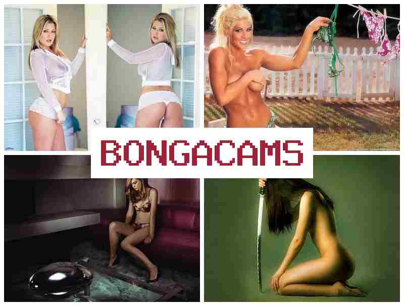 BONGACMAS ⭕ Teen Slut Hardcore & TS Porn