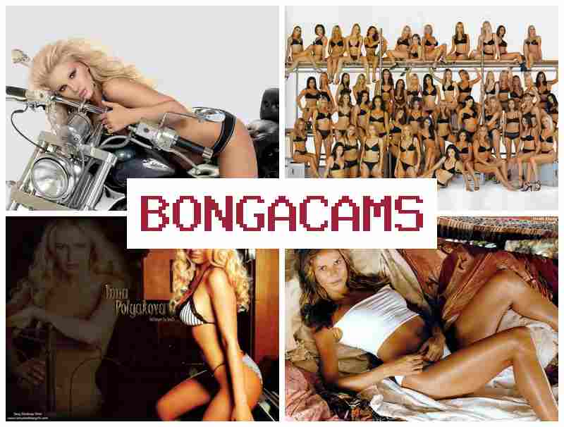 BPNGACAMS 🔻 Real Porn & Futa Porn