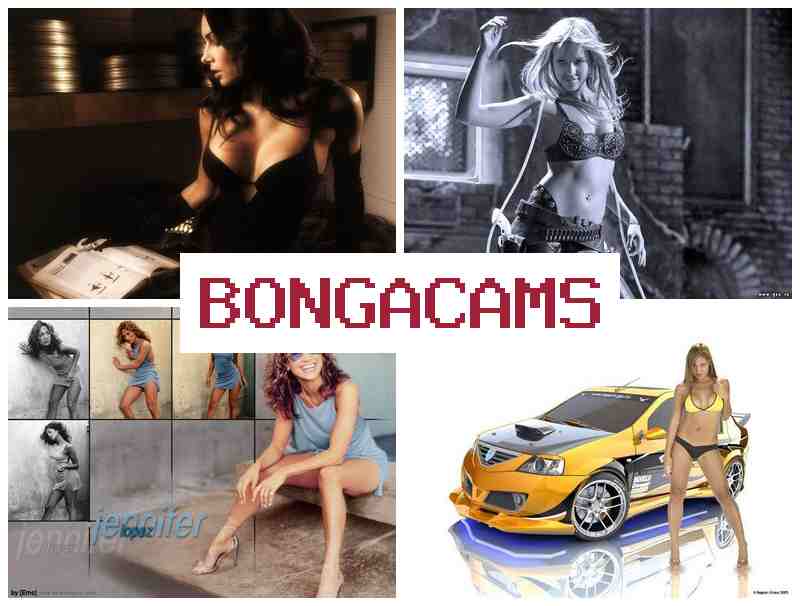 BOBGACAMS 💯 Webcam Faces & Better Porn