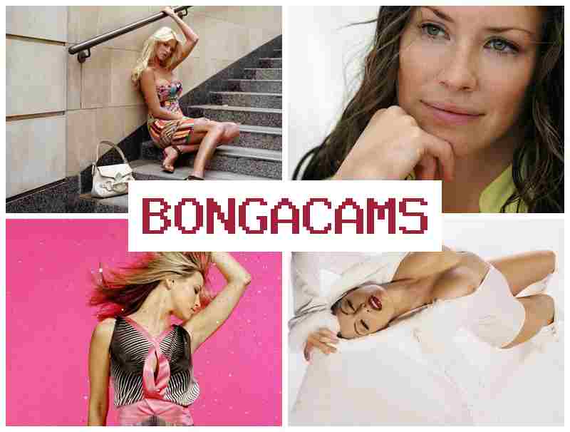 BOHGACAMS 💯 Porn Cumshot & Porn Webcam Compilation