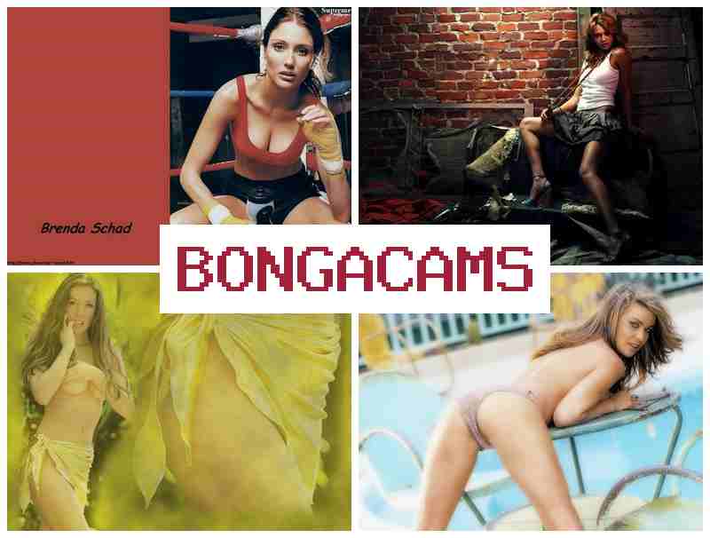 BONGADAMS 💯 Webcam Girls Fun & Slut Sucking Dick