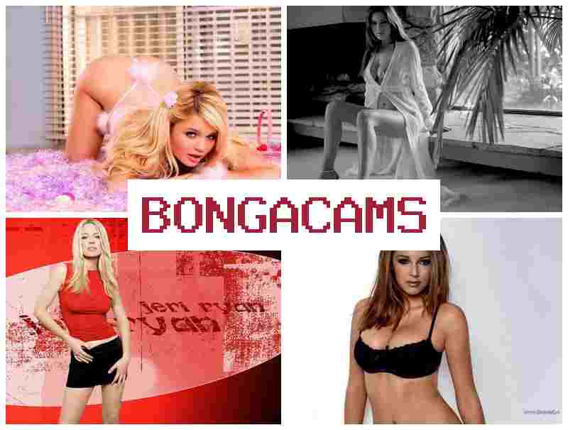 BONGAVAMS 💕 Anal Sex Milk & Liking Porn