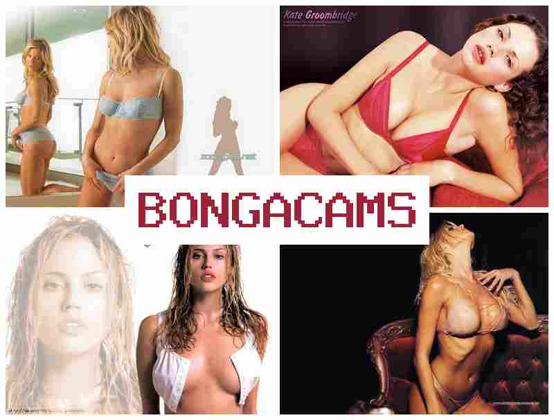 BONGACSMS 😍 Pawg Sluts & Monster Porn