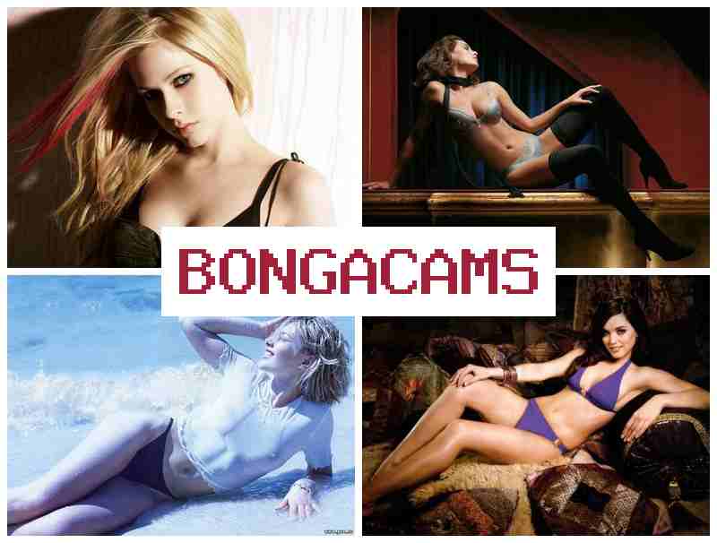 BONGACANS 🔵 Pank Girl, Webcam & TG Porn