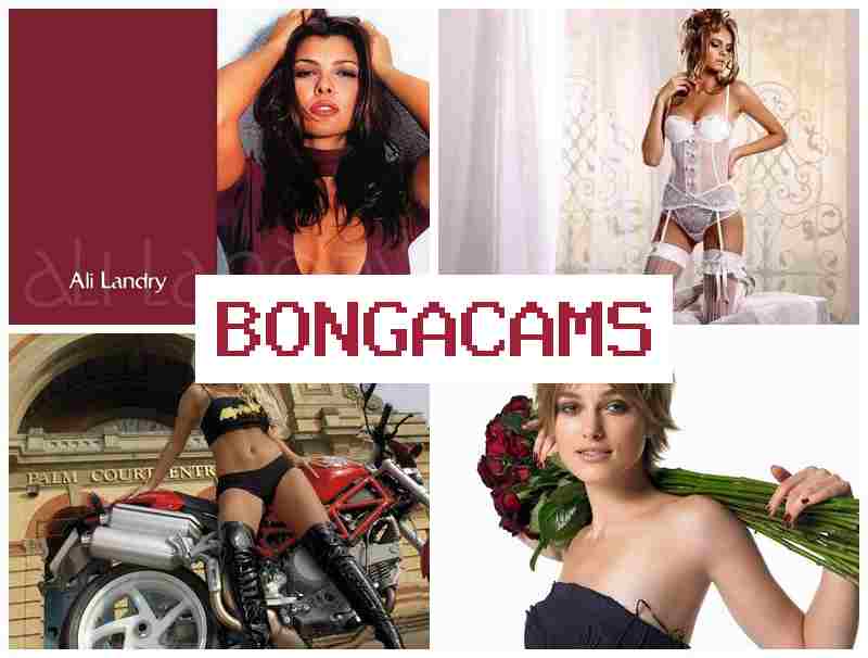 BNGA CAMS 💯 Webcam Casting Young Models & Asian Free Sex Video