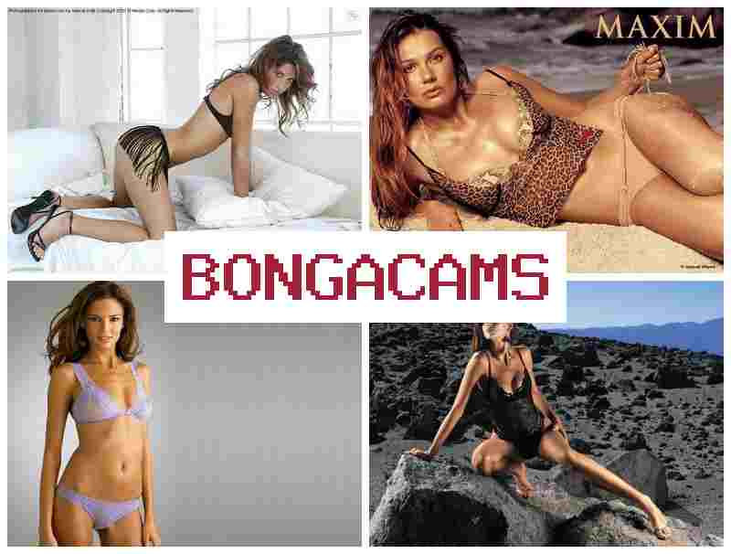 BOGA CAMS 💏 Big Tits Porn & Chubby Girls Big Tits, Webcam