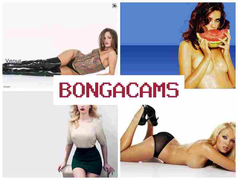 BONG CAMS 🎇 Closeup Group Sex in Telegram & Asian Young Sex Porno