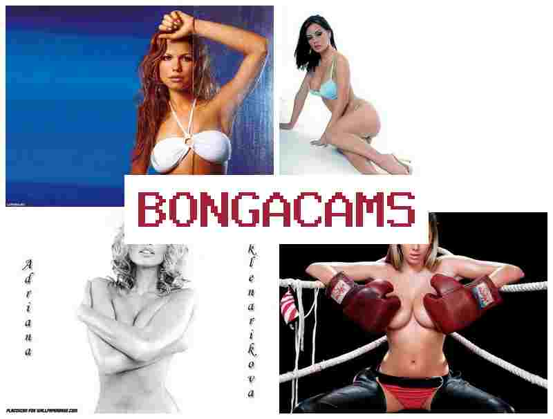 BONGA AMS 💝 Group Wives Sex Video & Spank Slut