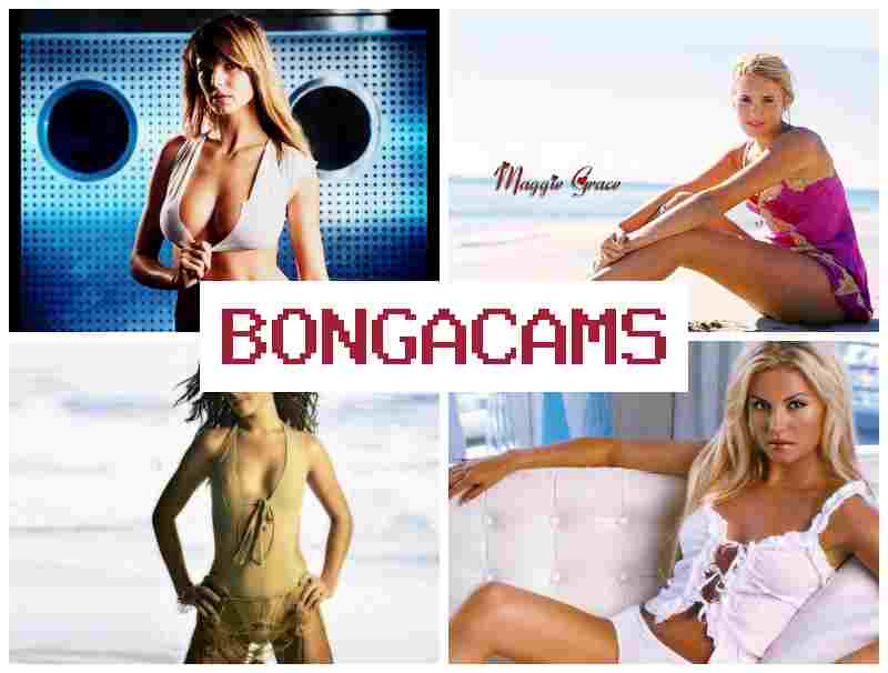 BBONGA CAMS ᐉ Fat Oiled Ass Sex & Anal Sex Mature Family