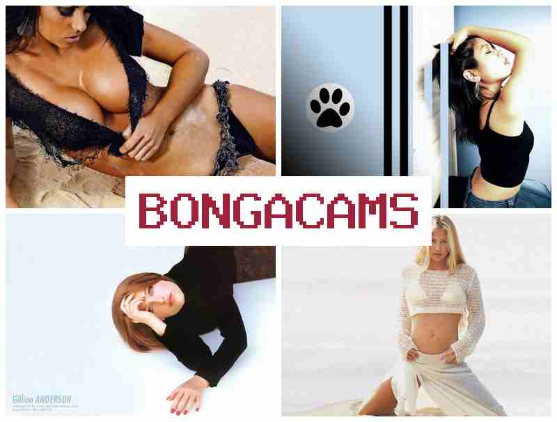 BONGA  CAMS ▓ Webcam Pussy Mp4 & Webcam Nice Girl