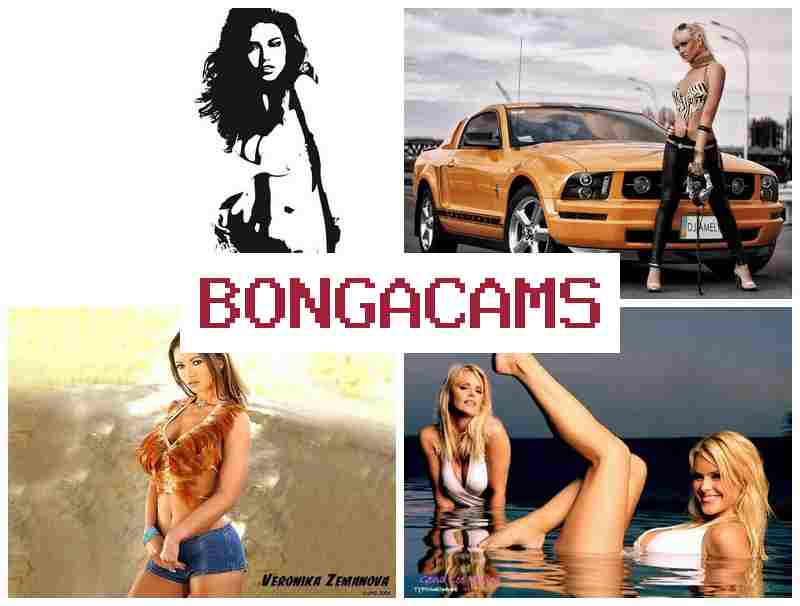 OBNGA CAMS 💟 Webcam Pussy Masturbate & Out Porn