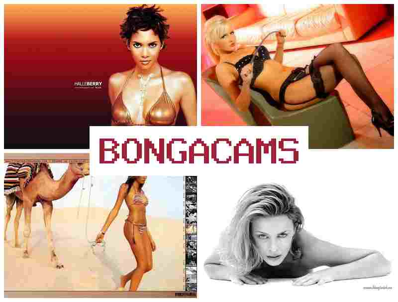 BBONGACAMS 🔵 BBW Mature Wife Sex & Mine Teen Webcam