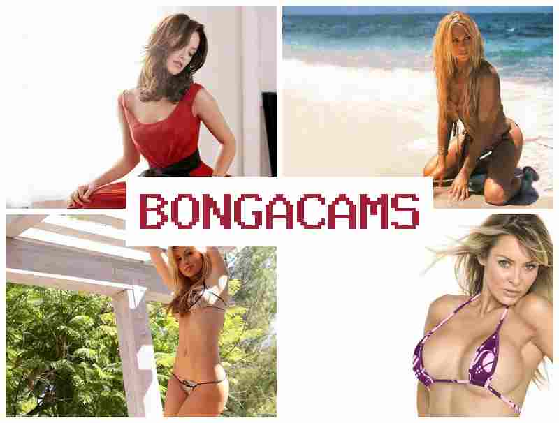 BONGA CMAS 💞 Porn Pictures & Porn Images BONGA CMAS 💞 Porn Pictures & Porn Images