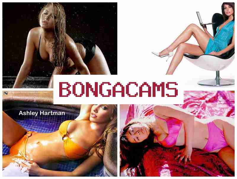 VONGA CAMS ⭕ Slut Fucking HD & Porn Forum