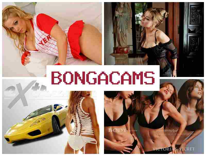 BINGA CAMS 💋 Free Porn Cam Sex XXX & Hard Fucking Hot Sex