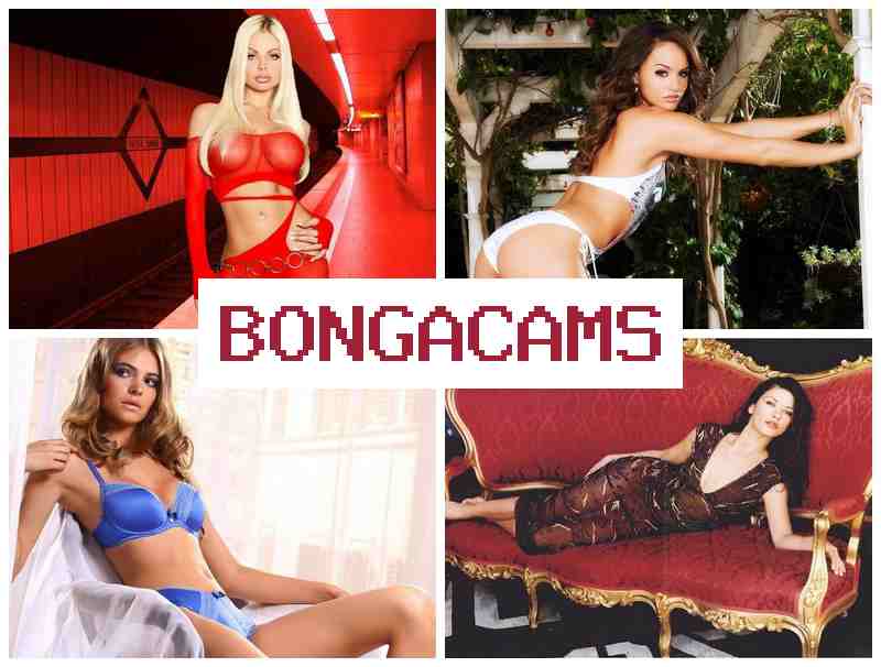 BPNGA CAMS 💏 Slave Porn & Porn Sex Sluts