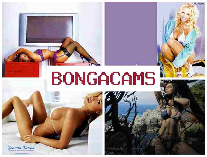 BKNGA CAMS ⭕ AI White Boys Slut Porno & Little Teen Anal Sluts