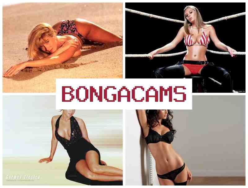 BOBGA CAMS 🔷 Porn Sex Fucking & Belly Porn